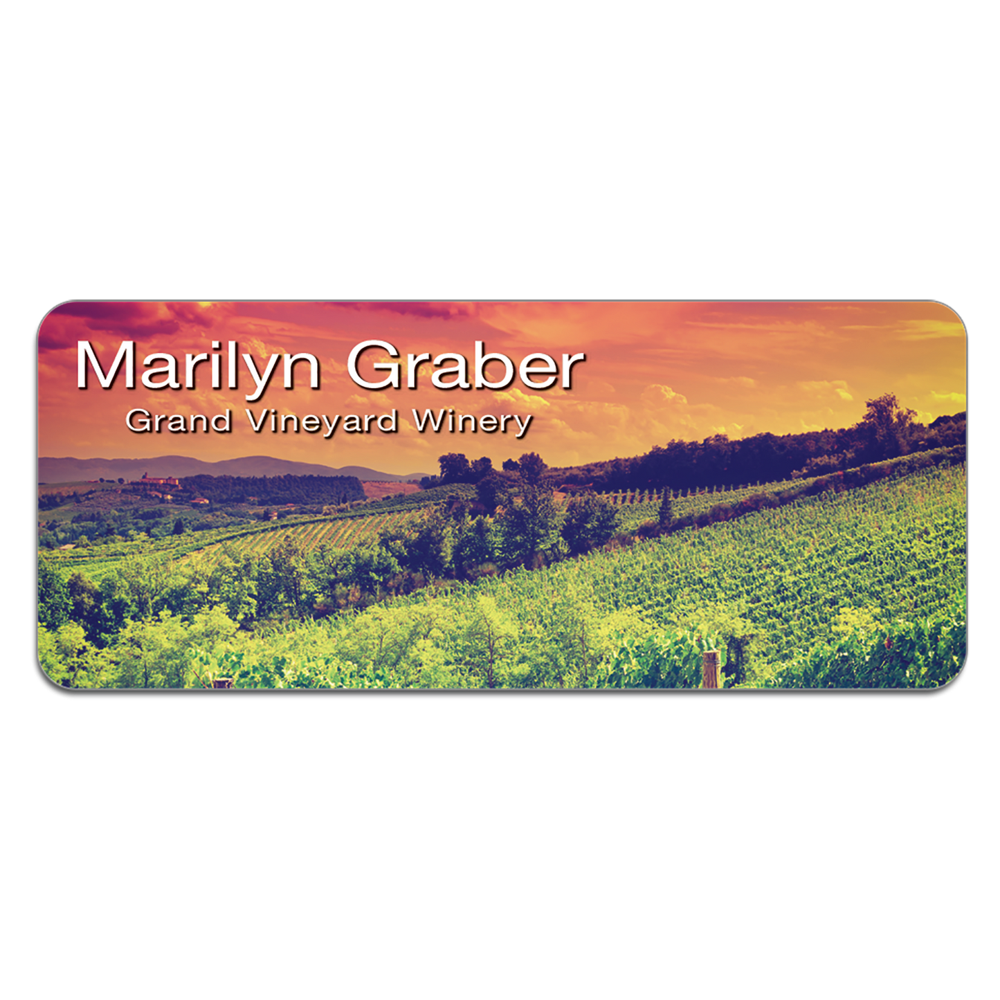 Plastic Customized Name Tags / Badges