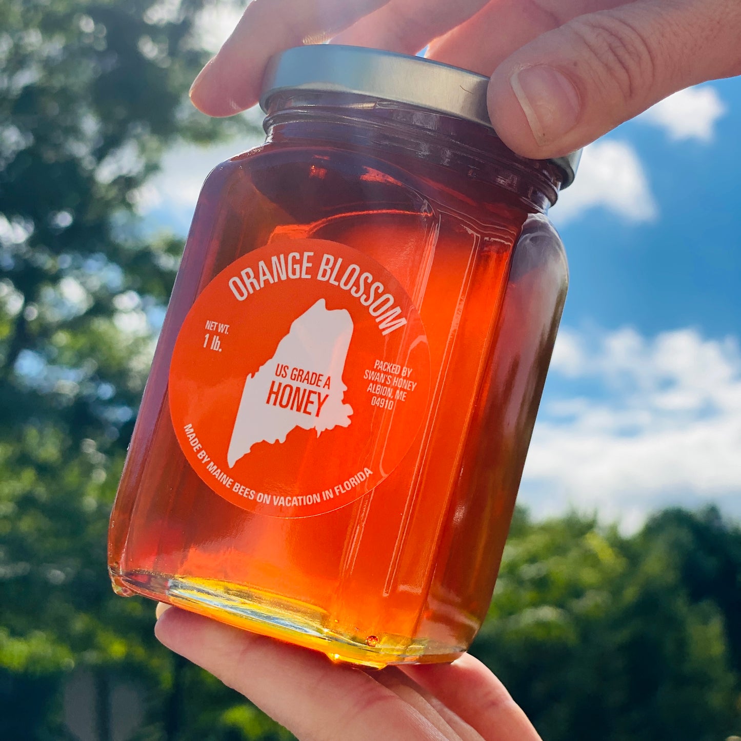 Swan's Honey