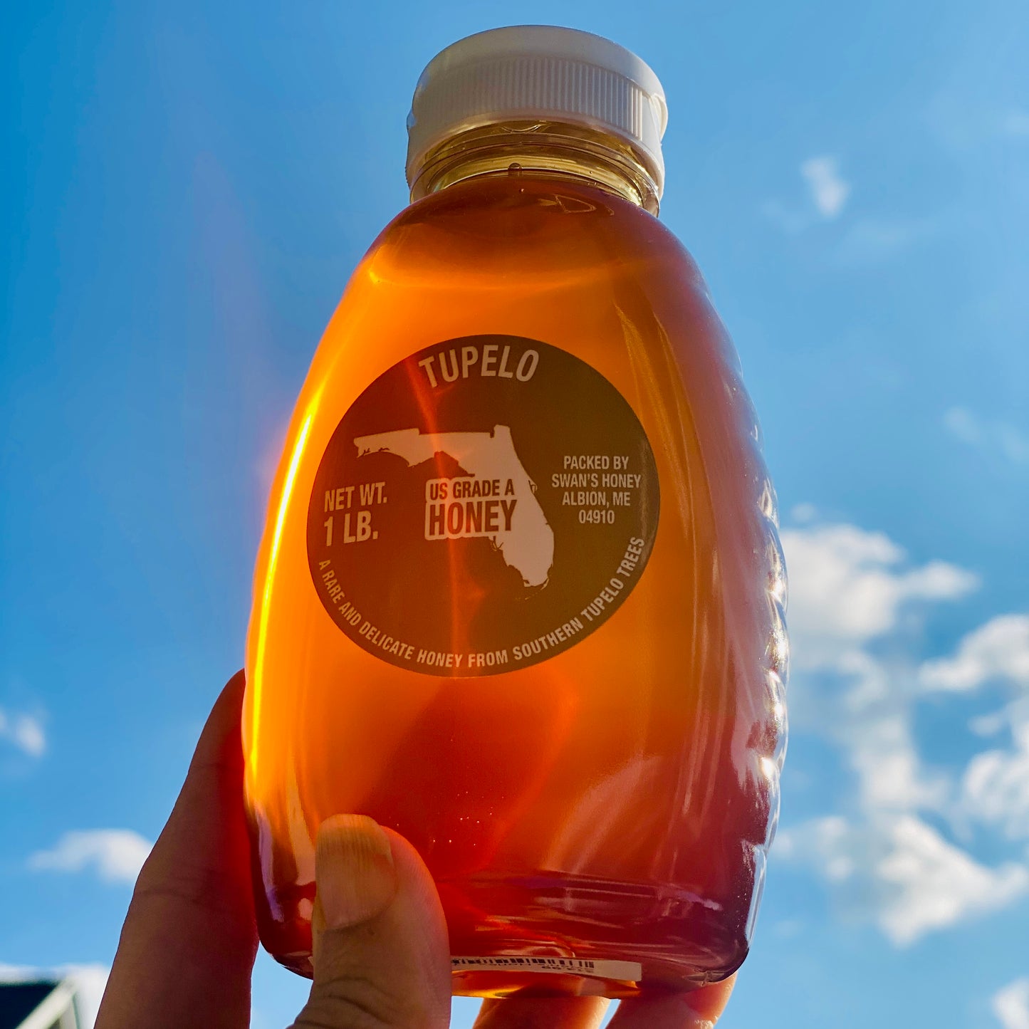 Swan's Honey