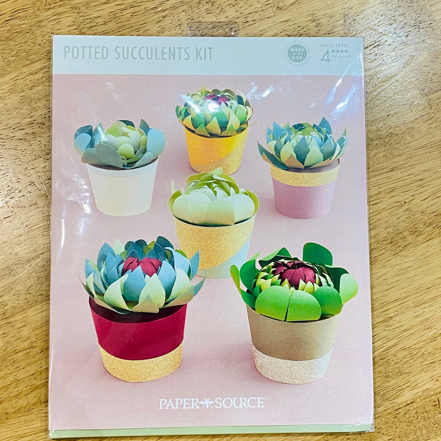 Paper Source - Potted Succulent DIY Craft Kit