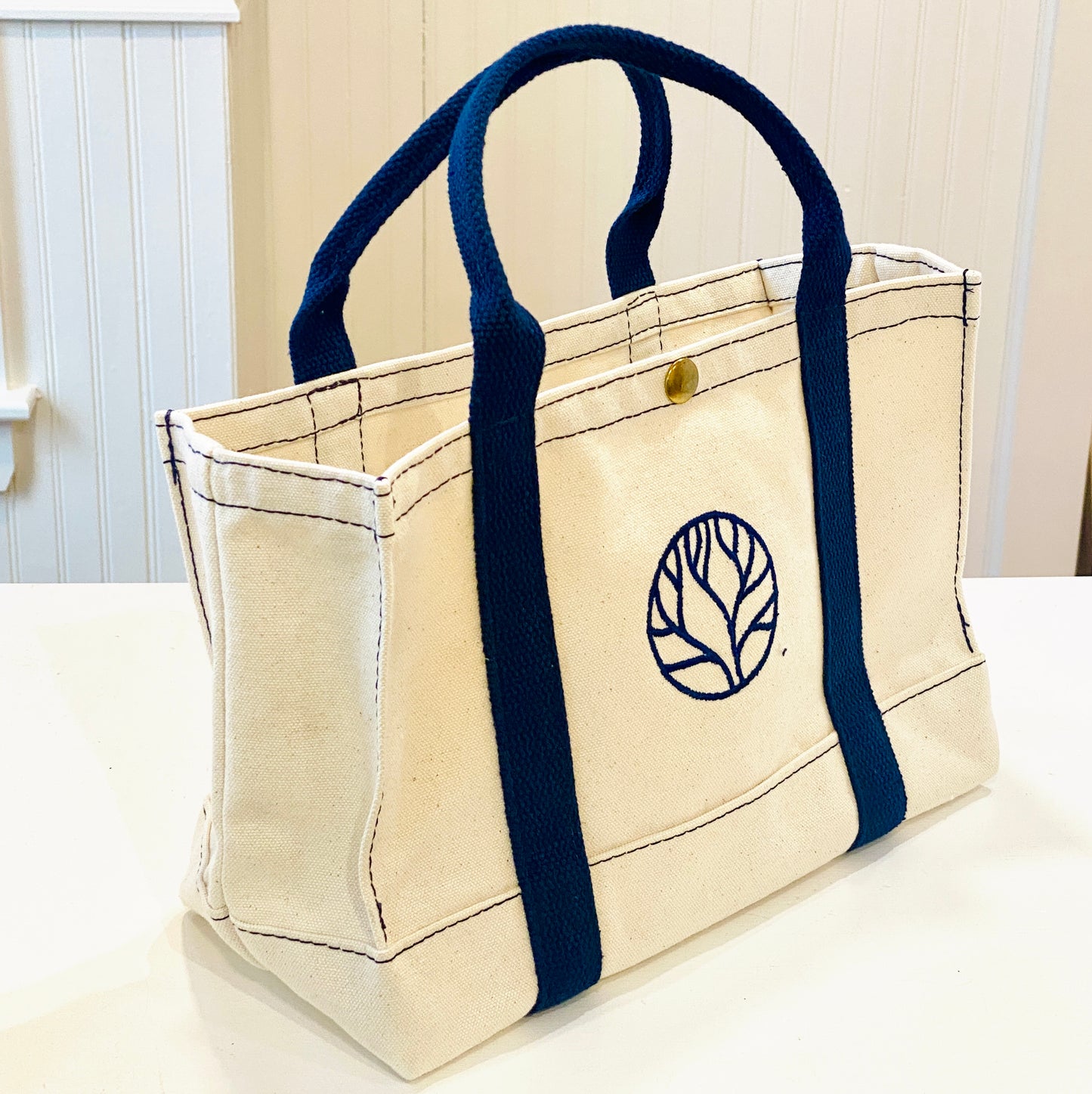 The Bottega Bag