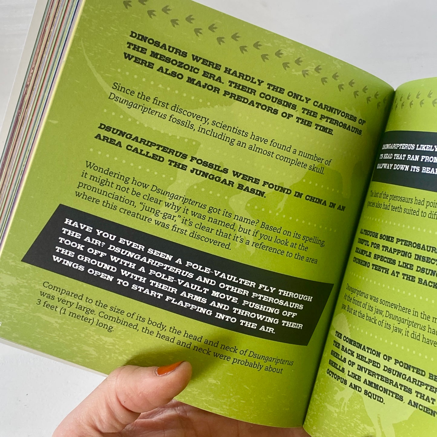 Cider Mill Press - Little Chunky Book of Dinosaurs